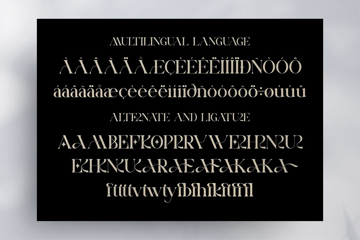 Aerisa || Modern & Luxury Serif Font, a Serif Font by Idea Studio (Photo 10 of 10)