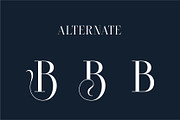 Bestie | Modern Stylish, a Serif Font by Muntab_Art (Thumbnail 10 of 15)