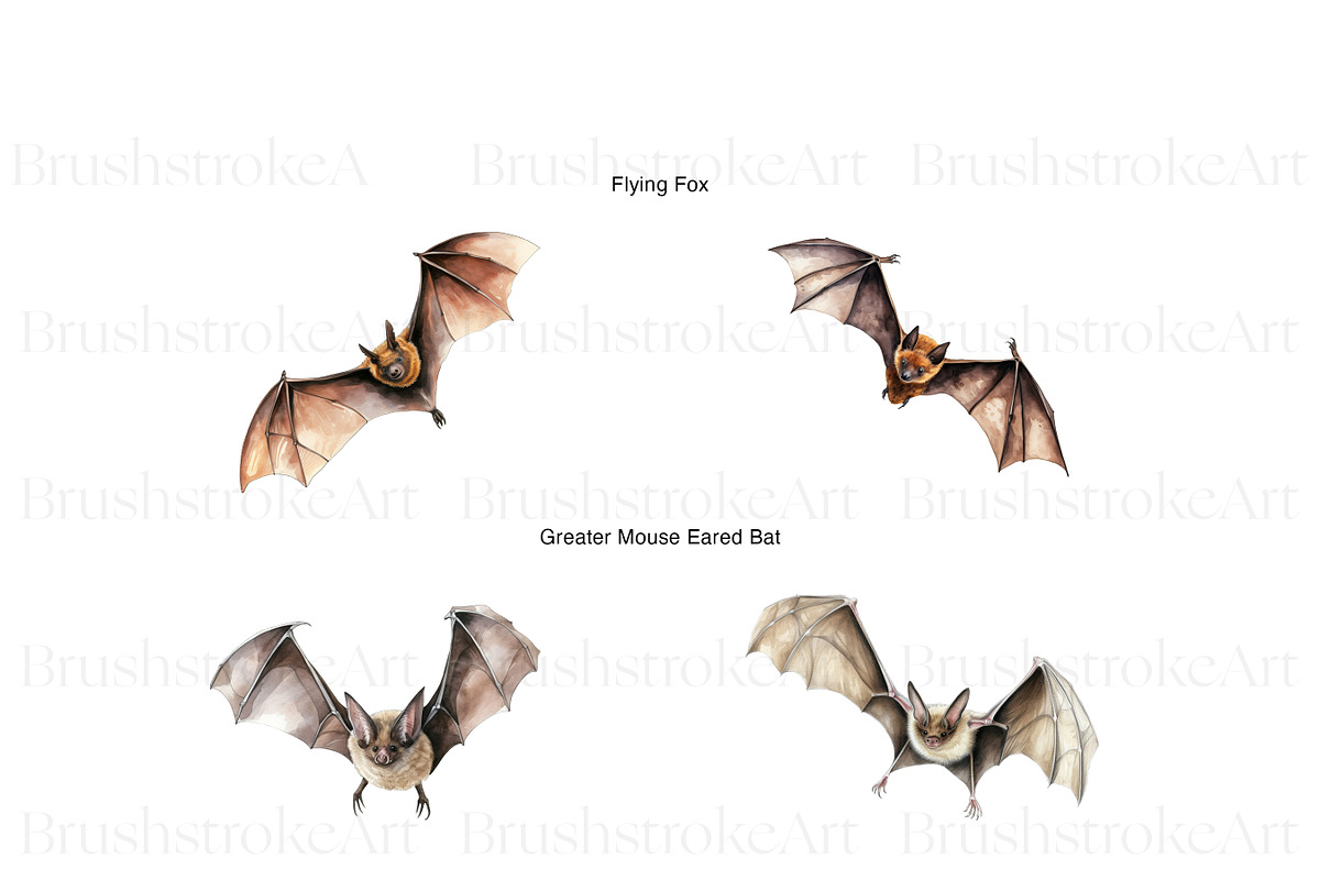 Watercolor Bat Clipart, Cute Bat PNG, an Animal Illustration by BrushstrokeArtGB (Photo 5 of 9)