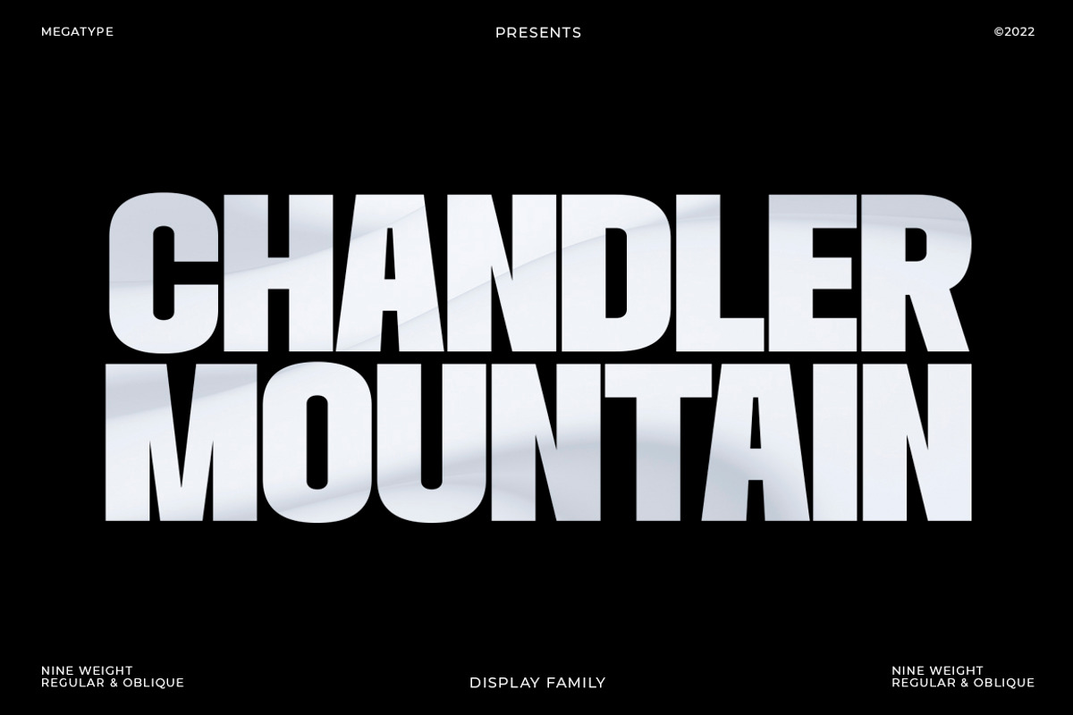 Chandler Mountain, a Sans Serif Font by Megatype (Photo 1 of 13)