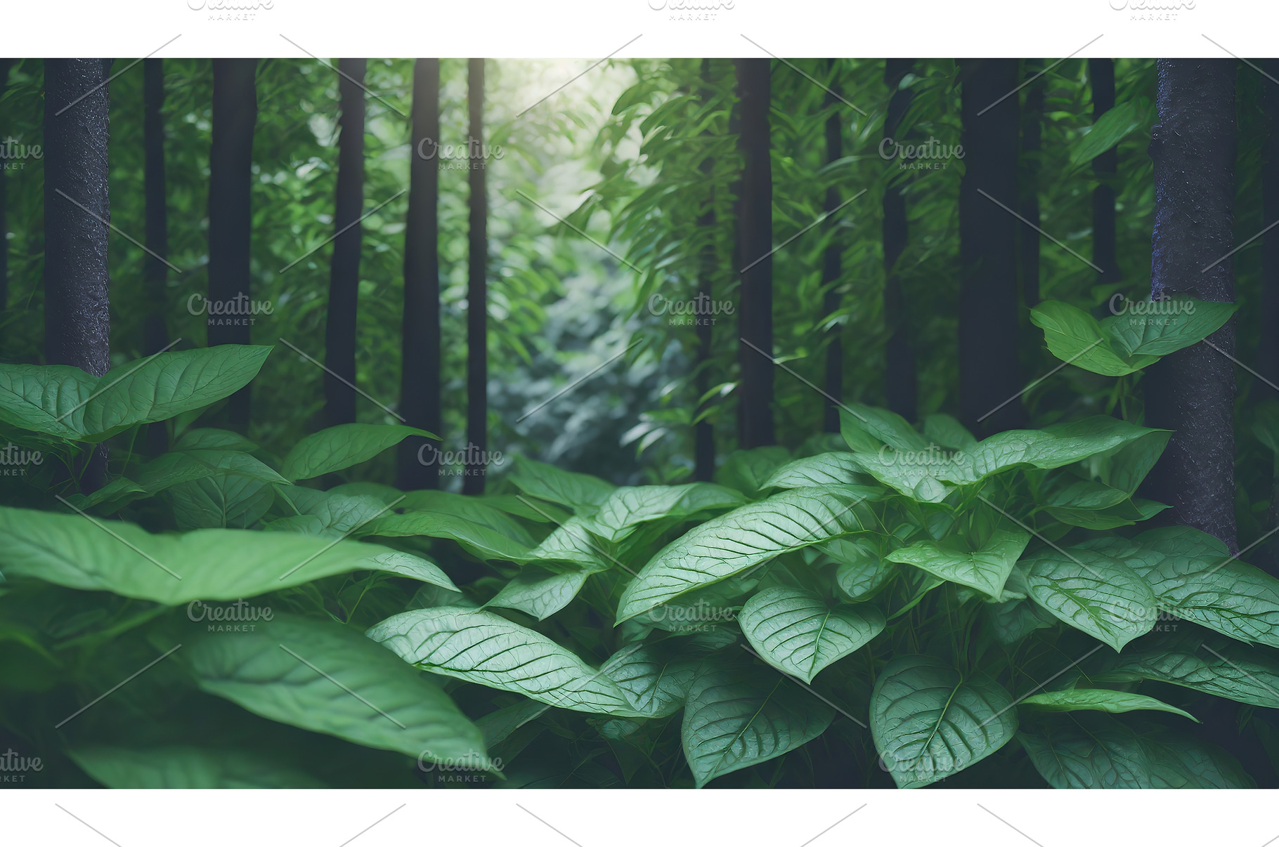 Dense green foliage beneath tall, a Nature Photo by Igor Tichonow