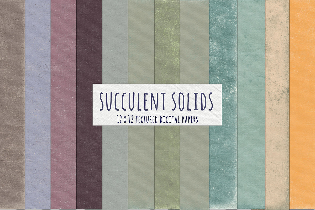 Succulent Solid Digital Backgrounds preview 2