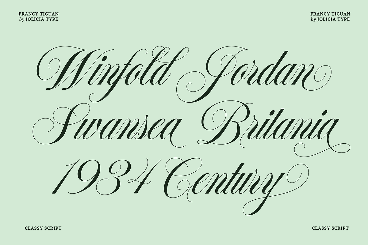 Francy Tiguan | Classy Script Font, a Script Font by Jolicia Type (Photo 2 of 12)