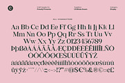 CS Bliska Drawn, a Serif Font by Craft Supply Co. (Thumbnail 8 of 8)