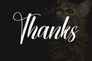 Creature | Script Font, a Blackletter Font by Scratchones (Thumbnail 9 of 9)