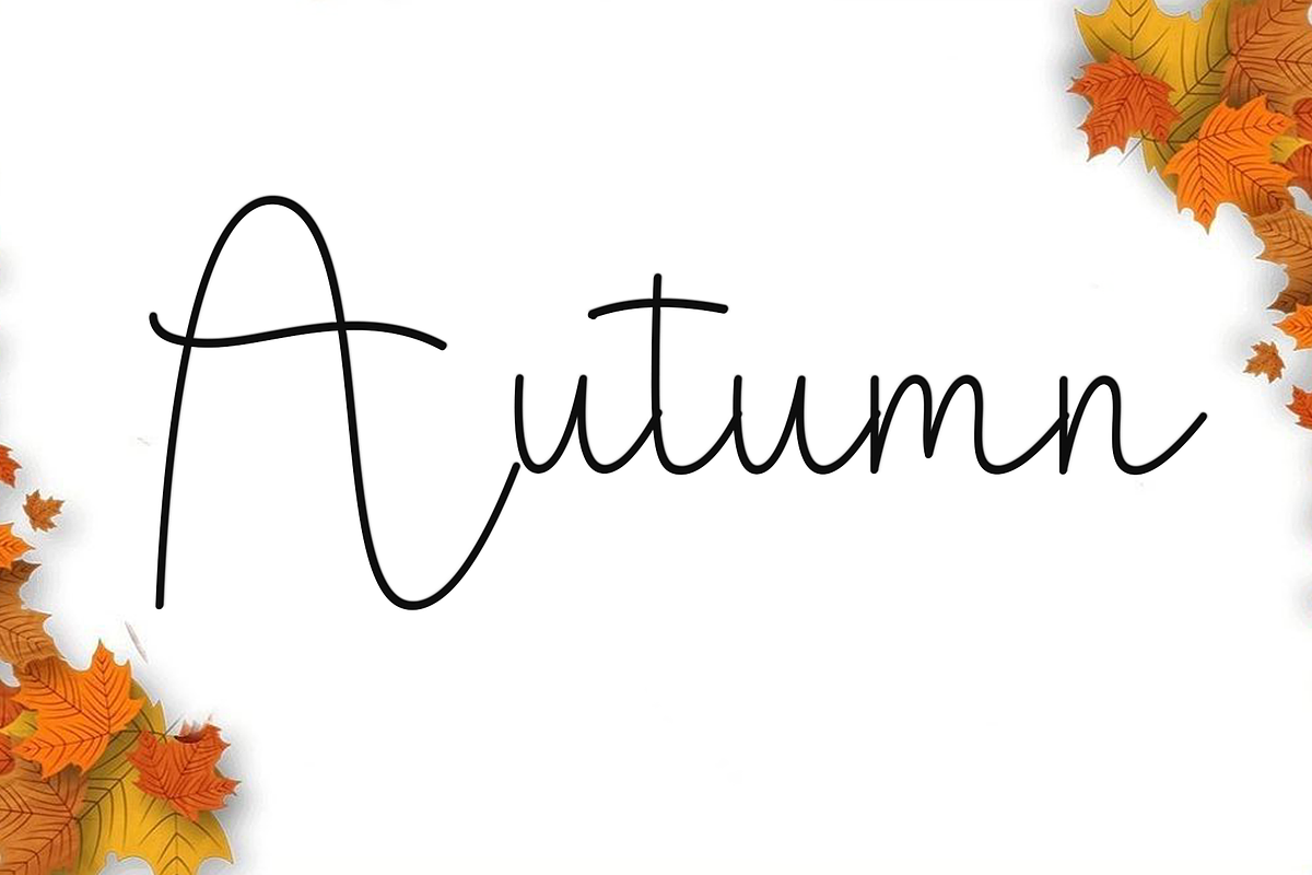 Daisy Birthday, a Handwritten Font by FreshTypeINK (Photo 5 of 8)