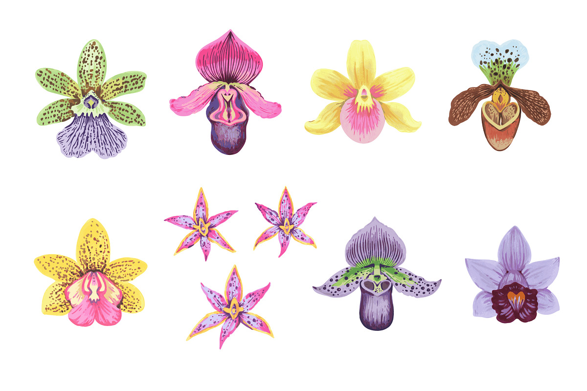 Crazy orchids. Vector patterns., a Pattern Graphic by Robusta (Photo 16 of 17)