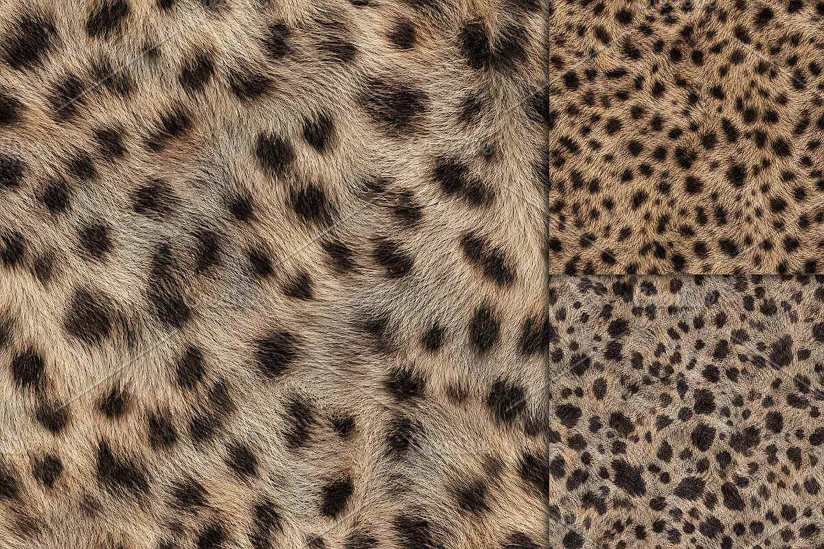 Realistic Leopard Fur Texture, a Pattern Graphic by Artonix (Photo 3 of 3)