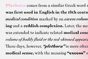 Plethora, a Serif Font by Sudtipos (Thumbnail 3 of 12)