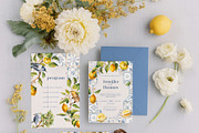 Mediterranean Citrus Garden clipart, a Decorative Illustration by Pamyatka Shop (Thumbnail 7 of 14)