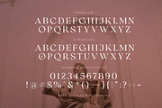 UPDATE! Romans Story Ligature Serif, a Serif Font by Letterhend Studio (Thumbnail 6 of 10)