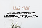 Sydney | Font Duo + 12 Free Logos, a Sans Serif Font by Jen Wagner Co (Thumbnail 11 of 13)