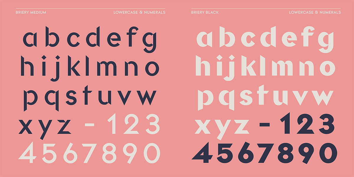 Briery, a Sans Serif Font by HeadFirst (Photo 4 of 18)