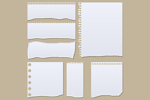 Collection of white torn paper