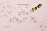 Delicate Roses - Hand Drawn Clipart, a Texture Illustration by Aquarellina (Thumbnail 10 of 15)
