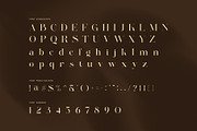 Andin Elegant Serif Font, a Serif Font by Perfectype (Thumbnail 7 of 8)
