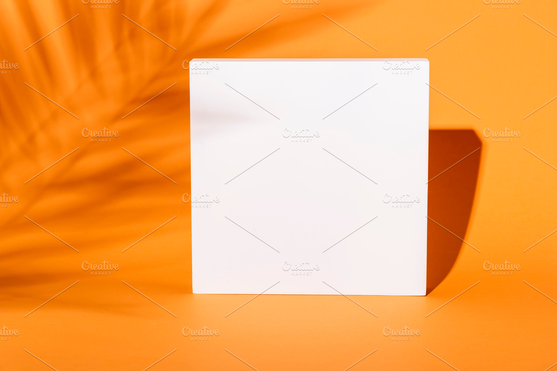 Thanksgiving halloween background, an Architecture Photo by hitdelight