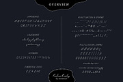 Calligraphic Script Font - Paulina B, a Script Font by sereneowl (Thumbnail 4 of 4)