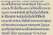 Connect Markets - Modern Serif Font, a Serif Font by 177Studio (Thumbnail 8 of 8)