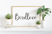 Syahilla, a Script Font by Essentials Studio (Thumbnail 6 of 8)