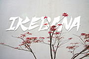 Shuriken, a Handwritten Font by BBtypeStudios (Thumbnail 3 of 9)
