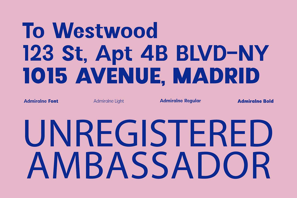 Admiralne Sans Family Font, a Sans Serif Font by Rasiorise Studio (Photo 4 of 15)