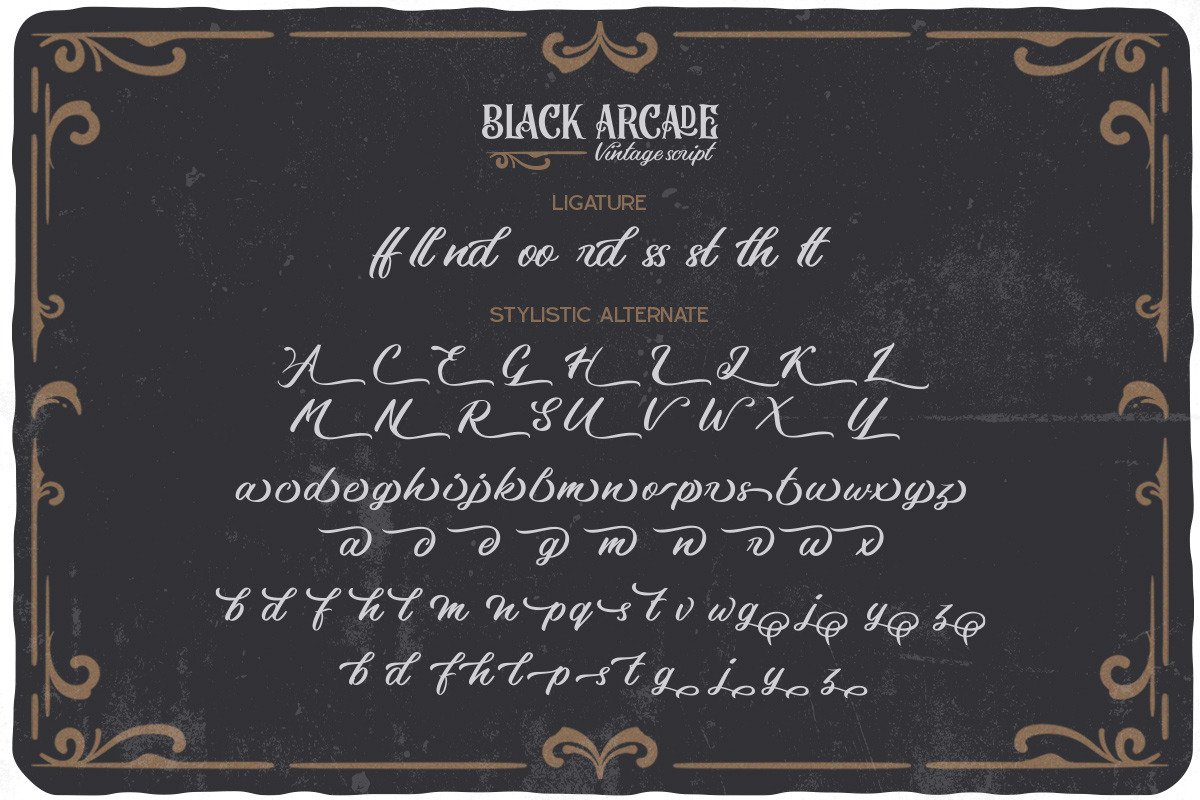 Black Arcade, a Script Font by Vintage Division (Photo 20 of 20)