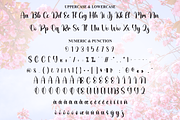 Cherry Bloosom | Script Font, a Handwritten Font by Scratchones (Thumbnail 7 of 8)