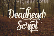 5 Sick Script, a Script Font by Twicolabs Fontdation (Thumbnail 4 of 11)