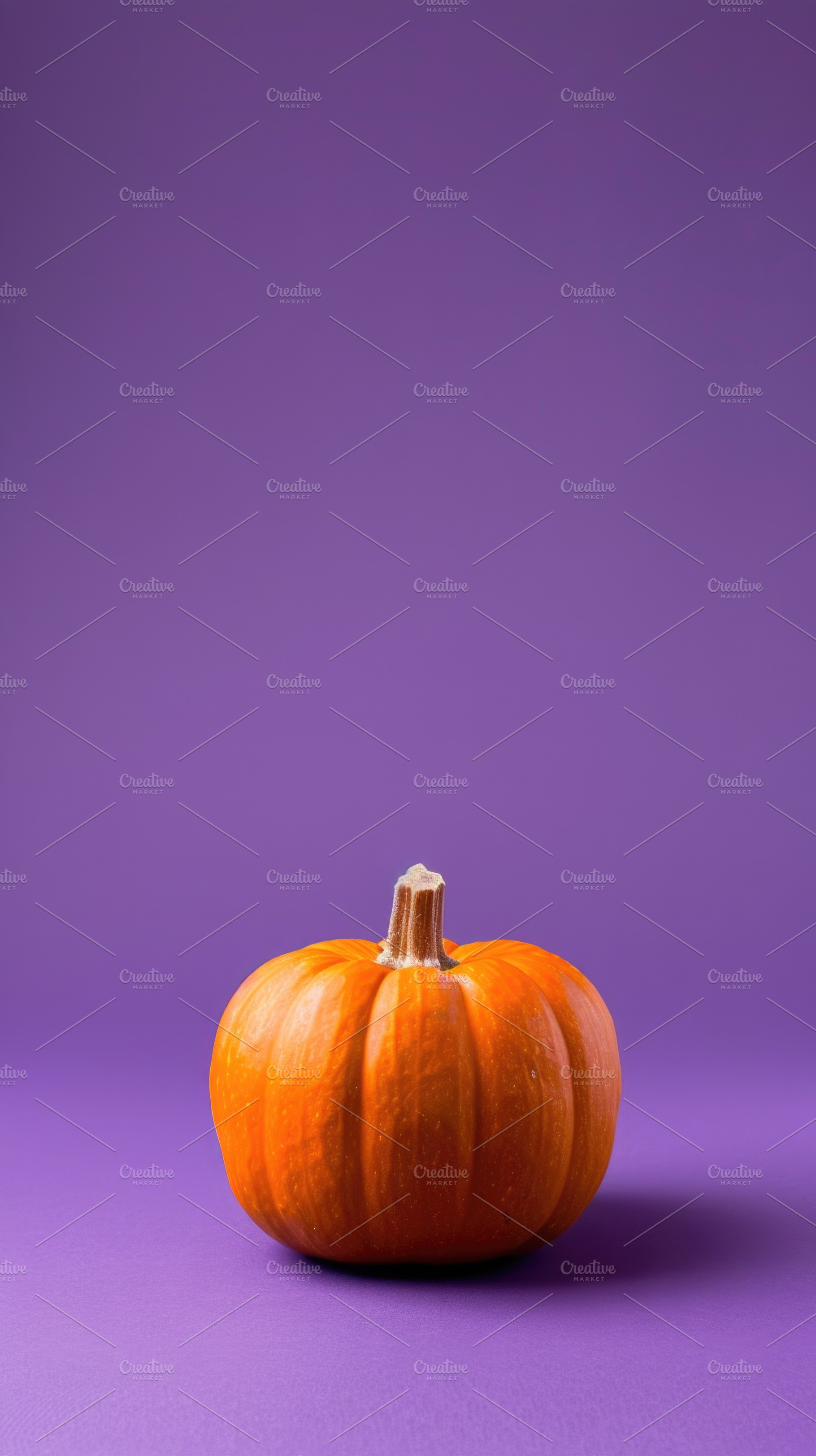 Single orange pumpkin on purple background with copy space, a Food & Drink Photo by José Manuel Gelpi