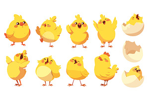 chickens cartoon set. yellow chick, an Animal Illustration by Stock-Smart-Start
