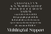 Braliga Elegant Ligature Serif, a Serif Font by Alfinart (Thumbnail 11 of 11)