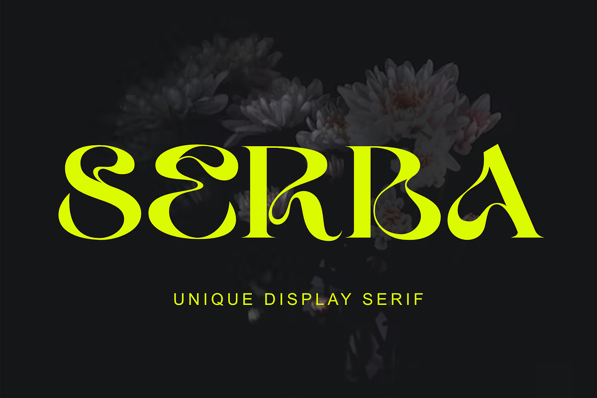 Serba, a Serif Font by Sealoung (Photo 1 of 11)