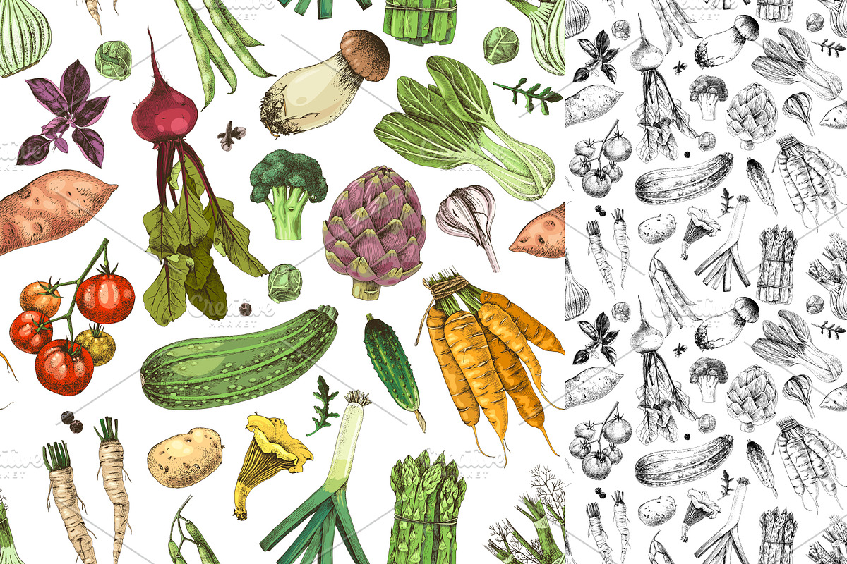 Ultimate vegetables set, a Food Illustration by handsketched (Photo 18 of 19)