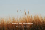 Handy Wonders - Handwritting Font, a Handwritten Font by Graphicfresh (Thumbnail 4 of 10)