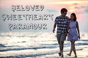 2Toon2 Elegant Serif Font Typeface, a Serif Font by Ink & Pixel Dreams (Thumbnail 1 of 4)
