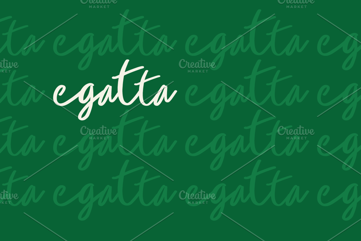 Egatta Script Font, a Script Font by Artiveko (Photo 9 of 10)