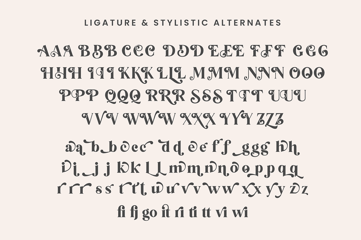 Backslash - Elegant Serif font, a Serif Font by Silverdav (Photo 10 of 10)