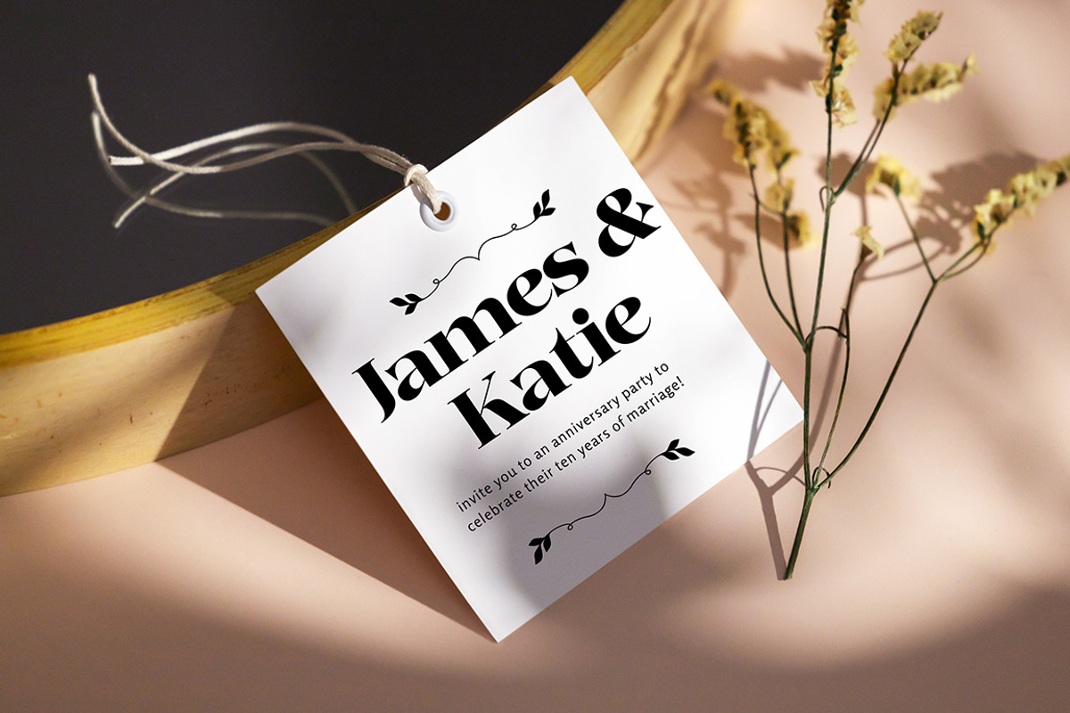 Garage Hostar - Display Font, a Serif Font by Megatype (Photo 4 of 11)