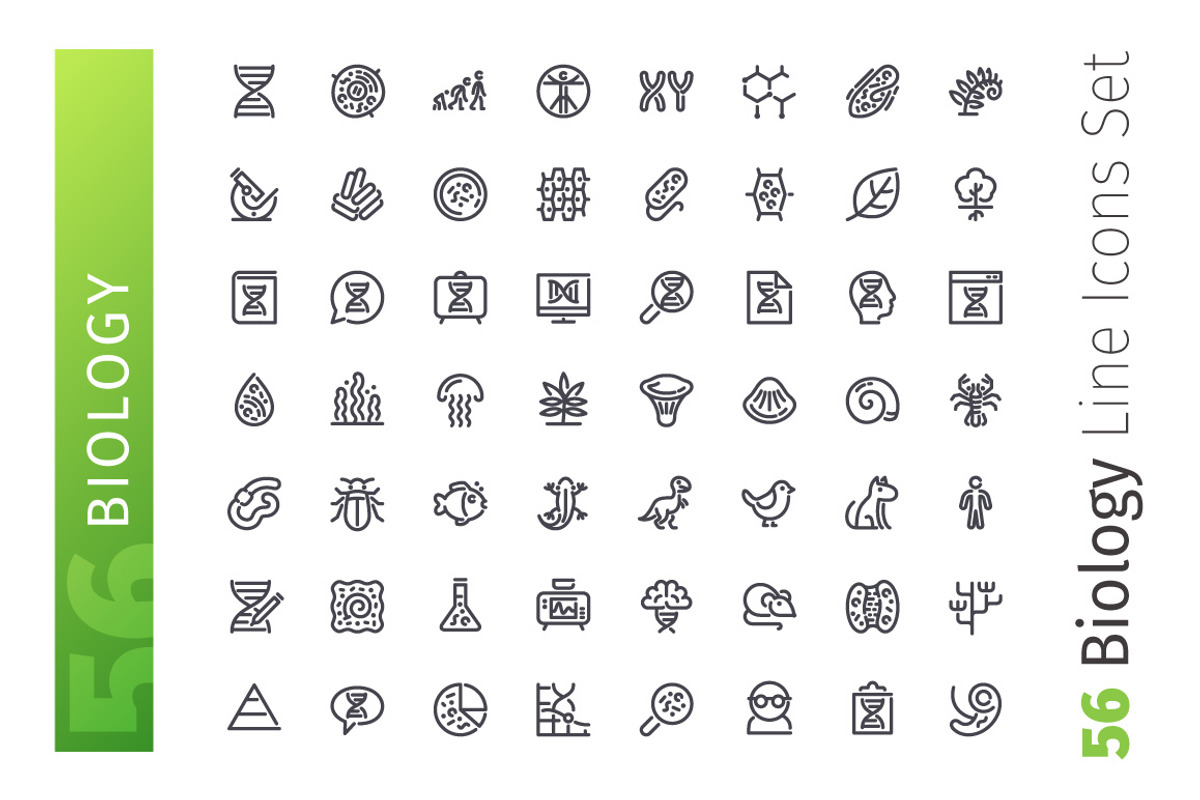 Biology Line Icons Set, an Outline Icon by Voysla's Shop (Photo 2 of 4)
