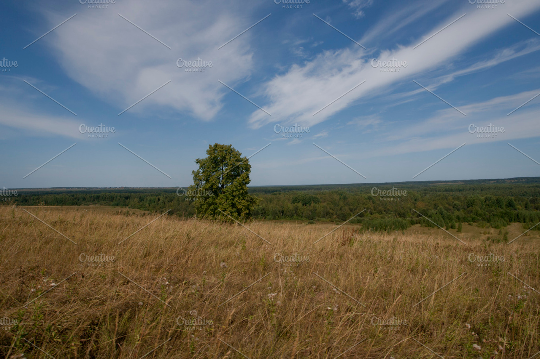 Autumn Field Stock Photo Containing Steppe And Field