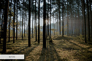 White Smoke Photoshop Overlays, a Plug-in Add-On by FixThePhoto (Thumbnail 31 of 34)