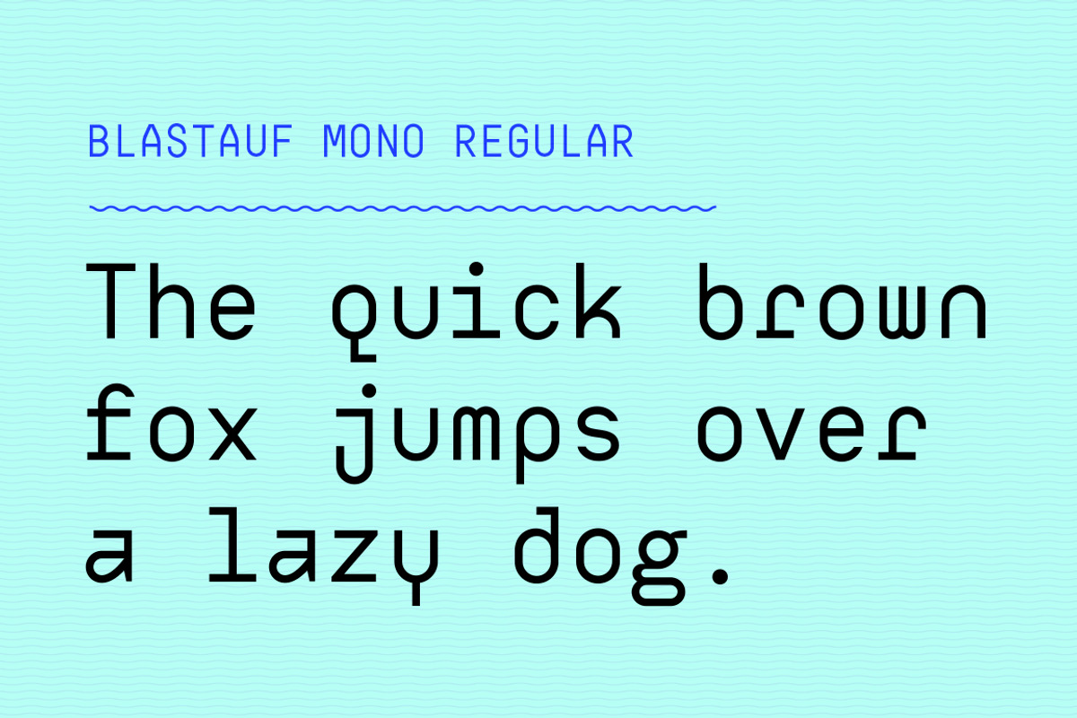 Sale! Digerati Mono Font Family preview 4