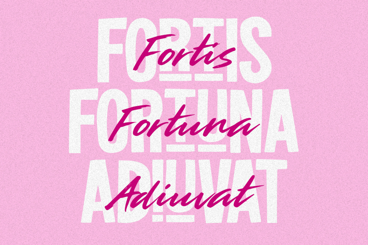 Show Your Dignity | 03 Font, a Handwritten Font by Metasena Typefoundry (Photo 6 of 10)