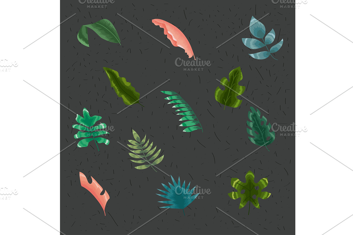 twelve tropical leafs icons, an Illustration by studiogstock