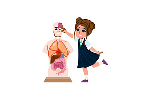 Schoolgirl pointing at brain on, an Education Illustration by pikepicture