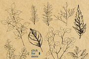 Winter Joy - Flowers & Foliages, an Illustration by clairedelune (Thumbnail 4 of 7)