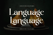 Lostangen - Elegant Classy Font, a Serif Font by RockboyStd (Thumbnail 7 of 12)