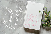 Pertysh Tulipita Stylish Calligraphy, a Script Font by stylishtype.co (Thumbnail 12 of 20)