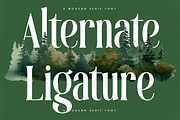 Theforest Modern Serif Font, a Serif Font by timelesstype.co (Thumbnail 8 of 20)